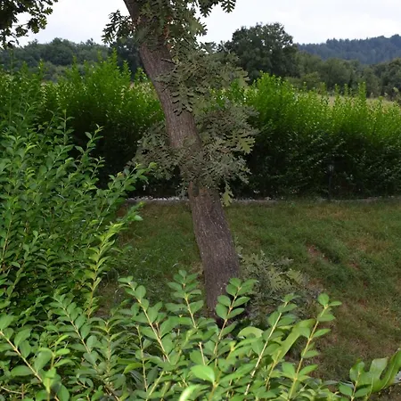 Two * Kirkovo (Kardzhali)