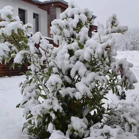 Villa Two